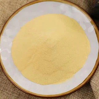 Εκχύλισμα μαγιάς σε σκόνη